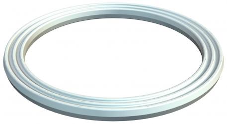 Connection thread sealing ring, metric 16.3 | 12 | 1