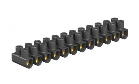 4 mm² series connectors, polypropylene 12 | 4 |  | 450 | Black