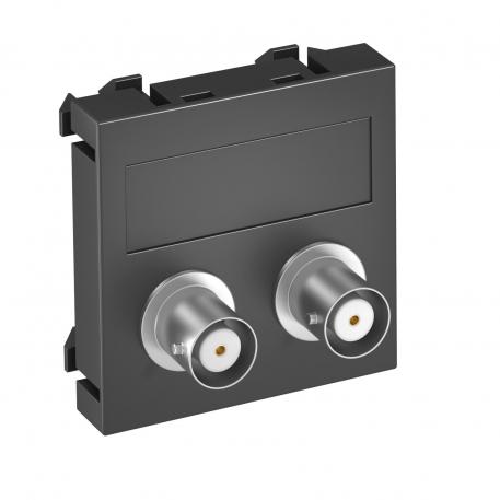 2 x BNC connection, 1 module, straight outlet, as 1:1 coupling, black-grey Black-grey; RAL 7021