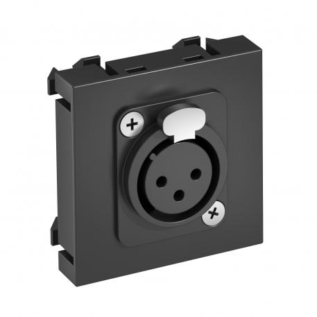 XLR connection, 1 module, straight outlet, 3-pin socket, as soldered connection, black-grey Black-grey; RAL 7021