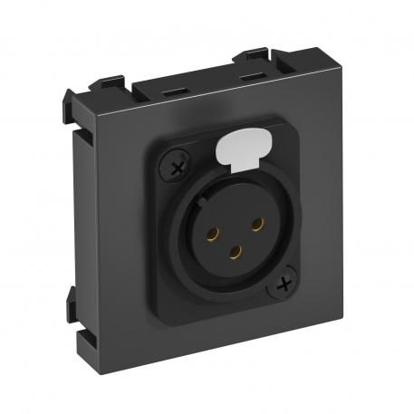 XLR connection, 1 module, straight outlet, 3-pin socket, as screw connection, black-grey Black-grey; RAL 7021