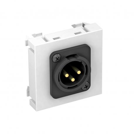 XLR connection, 1 module, straight outlet, 3-pin connector, as screw connection