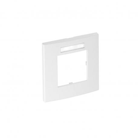 Cover frame AR45-BSF1, for accessory mounting box 71GD8-2, single, with labelling panel for vertical device installation