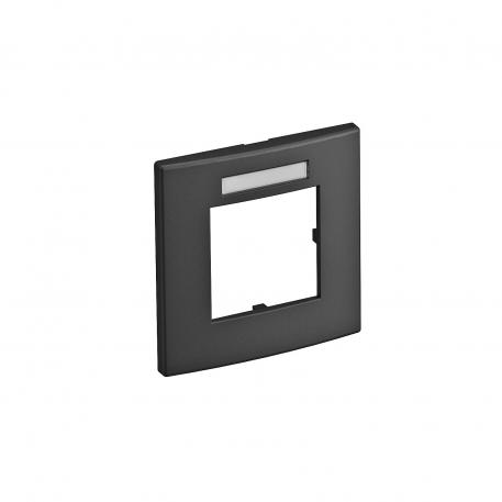 Cover frame AR45-BSF1, for accessory mounting box 71GD8-2, single, with labelling panel for vertical device installation 