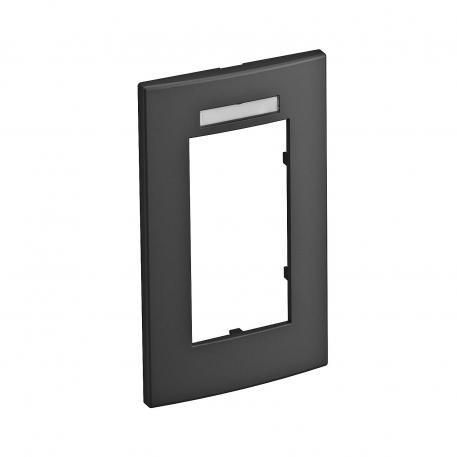 Cover frame AR45-BSF2, for accessory mounting box 71GD13, double, with labelling panel for vertical device installation 