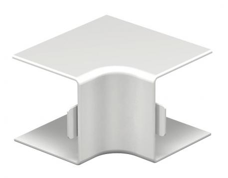 Internal corner cover, trunking type WDK 40040 65 | 40 | 40 | 65 |  | Pure white; RAL 9010