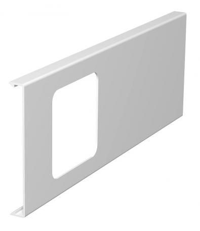 Tapa para caja portamecanismos simple para canales WDK, altura de canal 110 mm 300 | blanco puro; RAL 9010